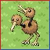 Professor Bridgette Challenge: Doduo Family