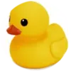 Duck achievement in Badge Hunt (Old) - Roblox