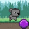 Koala High Score - 100