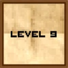 Level 9