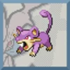 Rattata