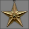 Bronze Star