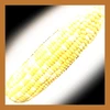 Glowing corn