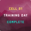 Training Day