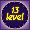 Level 13