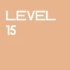 Level 15