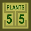 55 Plants