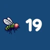 Flies 19