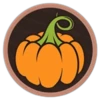 Pumpkin Festival Collector