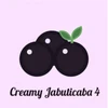 CREAMY JABUTICABA IV