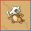 Professor Bridgette Challenge: Cubone Family