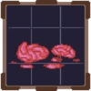 Brain Collector II