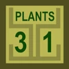 31 Plants