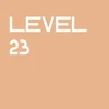 Level 23