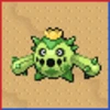 Professor Bridgette Challenge: Cacnea Family