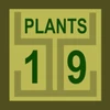 19 Plants