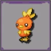 Torchic