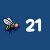 Flies 21