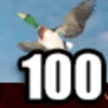 Duck Hunt 100