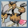 Dodrio