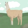 The Llama L