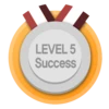 Level 5 Success