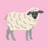 The Sheep Quiz