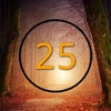 The 25