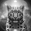 Level 16