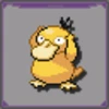 Psyduck