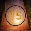 The 15