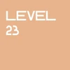 Level 23