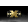 Birth of an NXT Champion