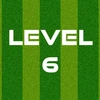 Complete Level 6