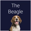 25 Beagle Strokes