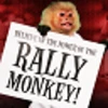 Rally Monkey