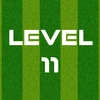 Complete Level 11