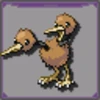 Doduo