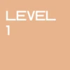 Level 1