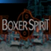 Boxer Spirit (Amateur)