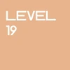 Level 19