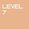 Level 7