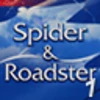 Spider & Roadster (Professional) - Race #1