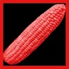 Red corn