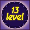 Level 13