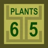 65 Plants