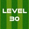 Complete Level 30