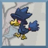 Murkrow