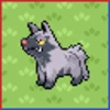 Professor Bridgette Challenge: Poochyena Family