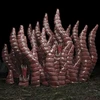 Swarm of Worms 